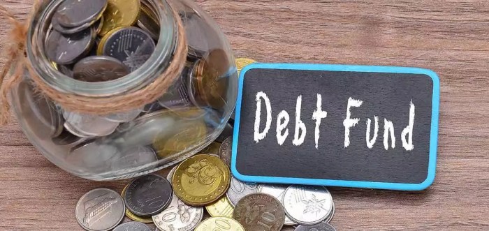 Debt funds mutual right