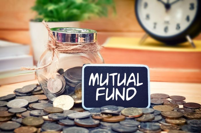 Best Mutual Funds 2024