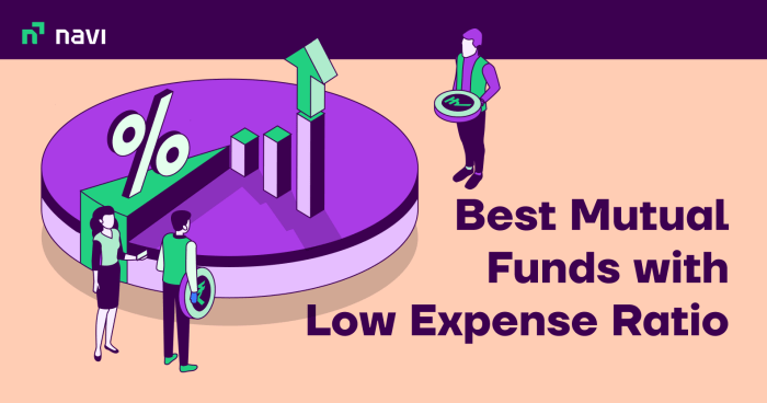 Mutual funds basics fund invest