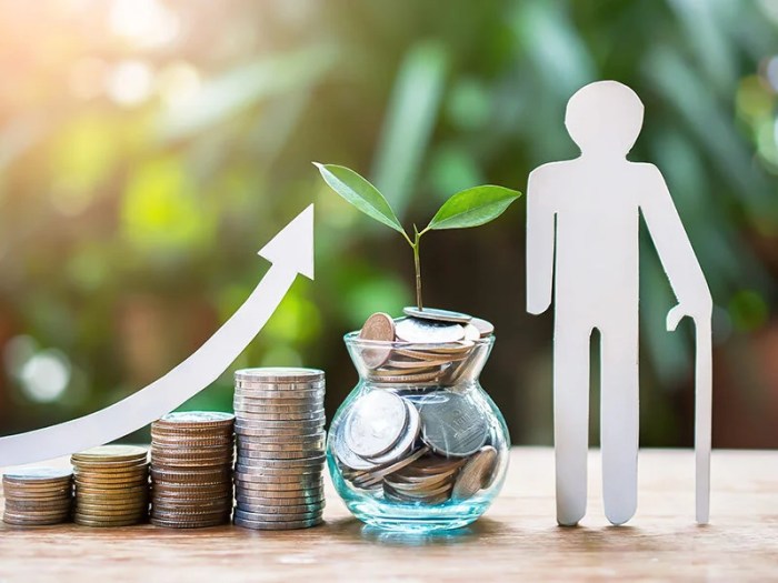 Mutual funds fidelity investorplace 401k