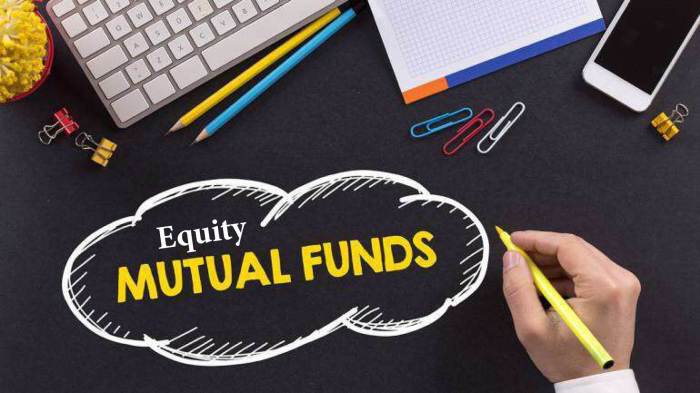 Mutual equity funds explained fund schemes